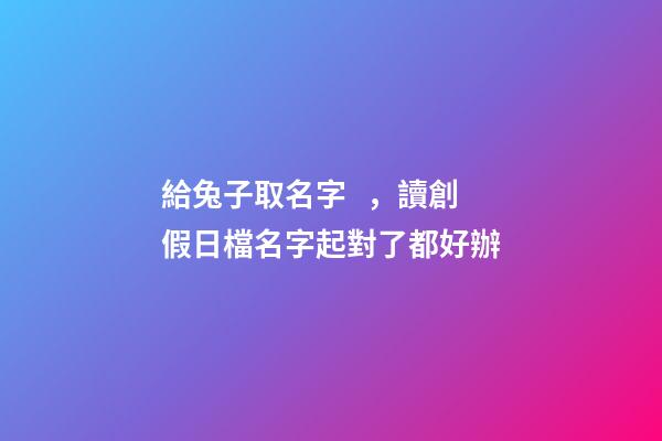 給兔子取名字，讀創假日檔名字起對了都好辦